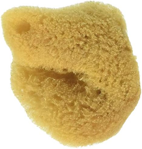 Royal Langnickel Silk Sea Sponge 1.5-2 inch 1 piece