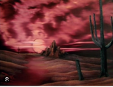 CACTUS AT SUNSET