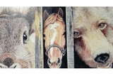 Colored Pencil Class (Marcia Bauman)
