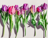 Watercolor Class (Terri Schuler)
