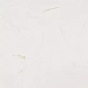 ARTIST 150ML TITANIUM WH