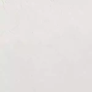 ARTIST 16OZ FLK WHT REPL