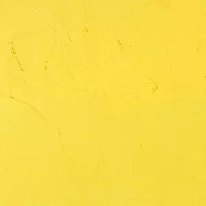 ARTIST 150ML CADM LEMON