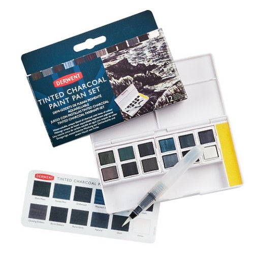 TINTED CHARCOAL PNT PAN SET/12