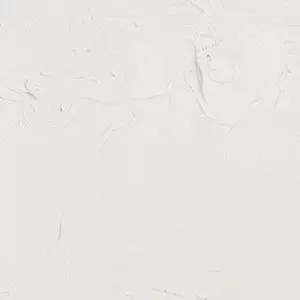 ARTIST 37ML TIT ZINC WHT