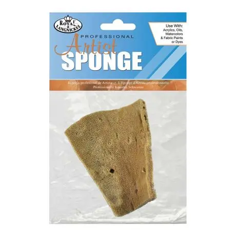 ELEPHNT EAR SEA SPONGE 3.5-4IN