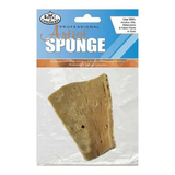 ELEPHNT EAR SEA SPONGE 3.5-4IN