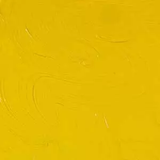 ARTIST 8OZ CADM YELL MED