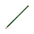 POLYCHROM PERM GRN OLIV