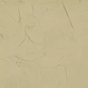 ARTIST 150ML TITAN BUFF