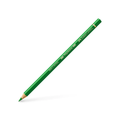 POLYCHROM PERM GREEN