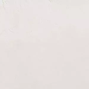 ARTIST 16OZ ZINC WHITE